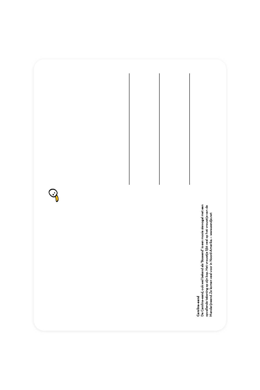 Carolina Duck postcard