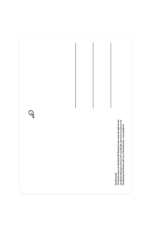 Carte postale Carolina Duck