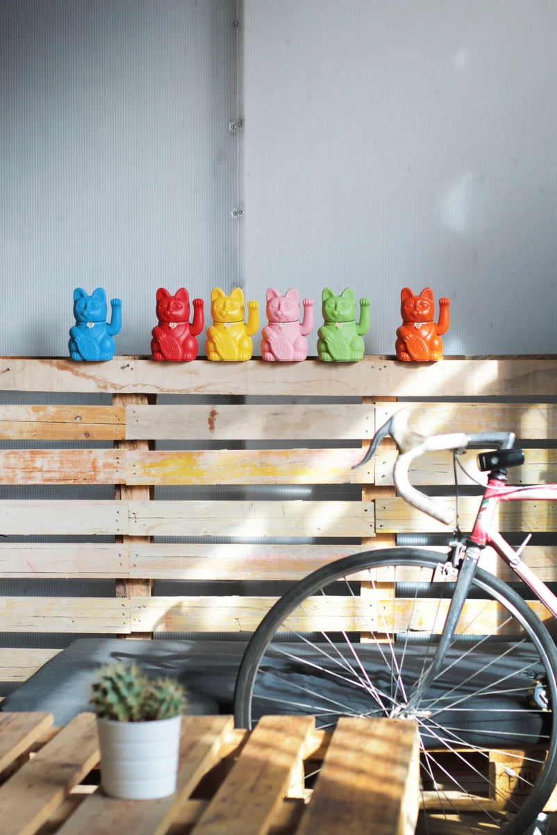 chat chanceux vert mojito diminuto cielo