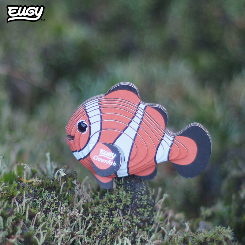 037 Clownfisch
