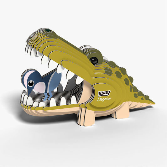 043 Alligator