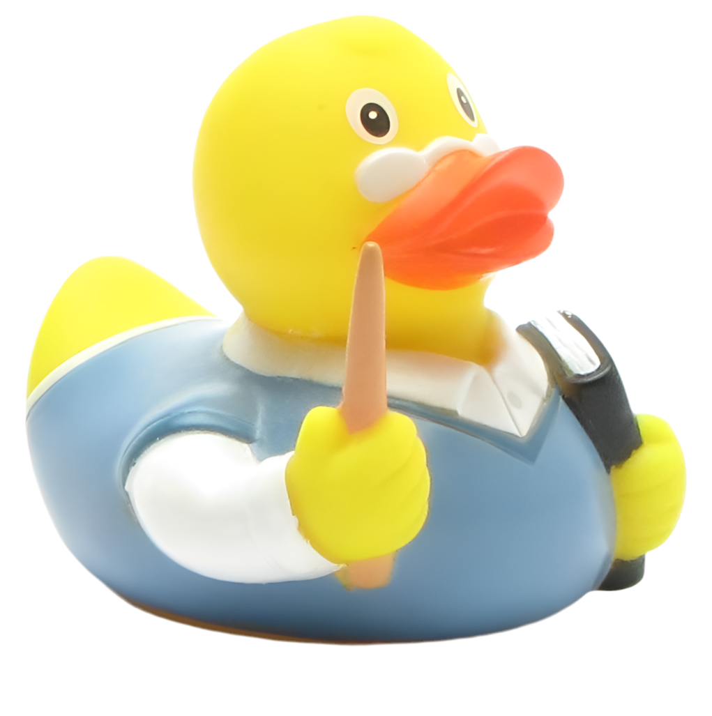 canard professeur factotum