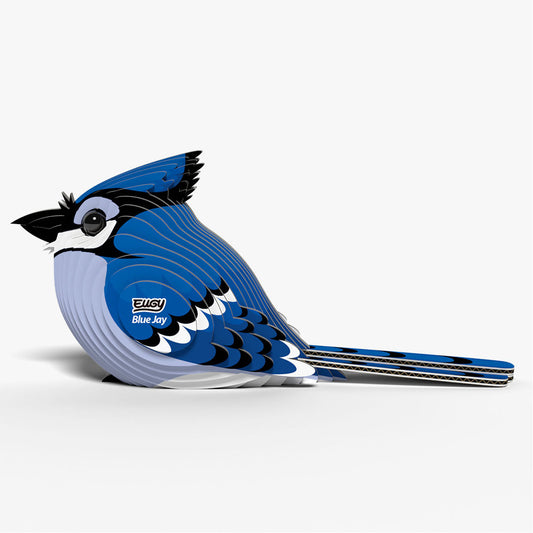 067 Geai bleu
