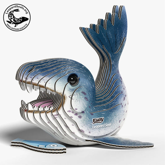074 Léopard de mer