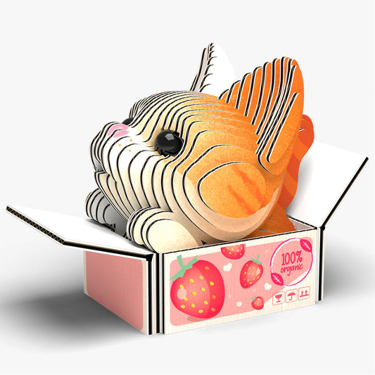 087 Chat Pumpkin