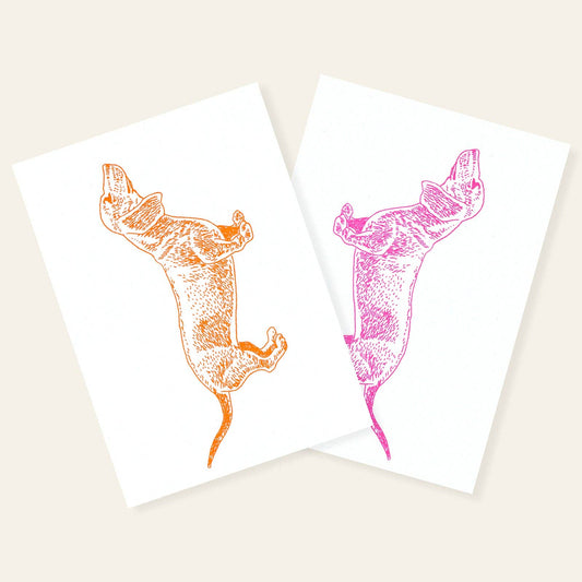 Postkarte mit neonorangem Dackel