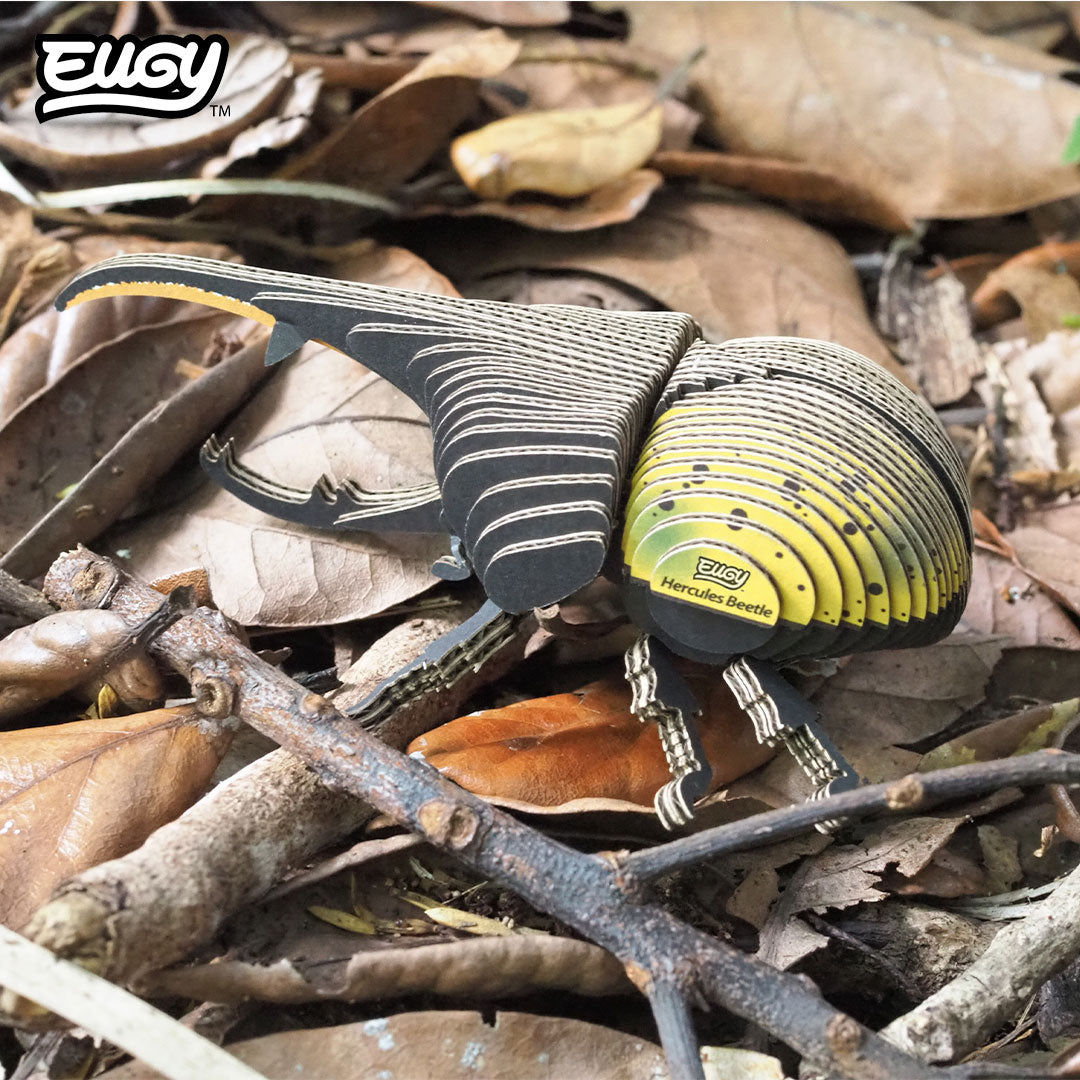 112 Hercules Beetle