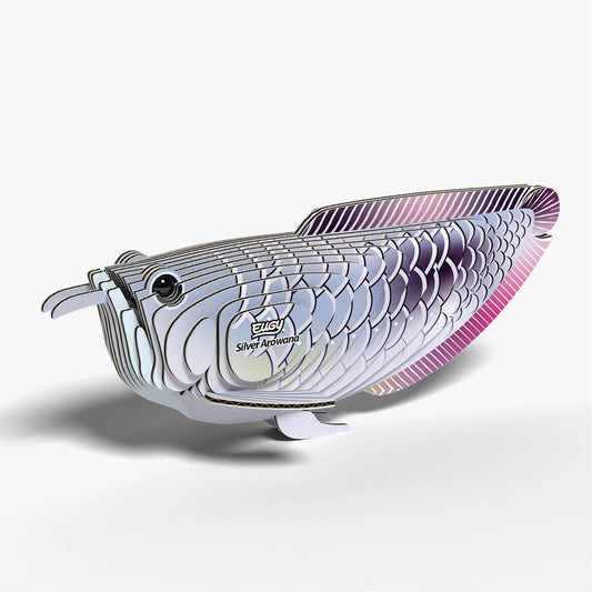 124 Arowana argenté