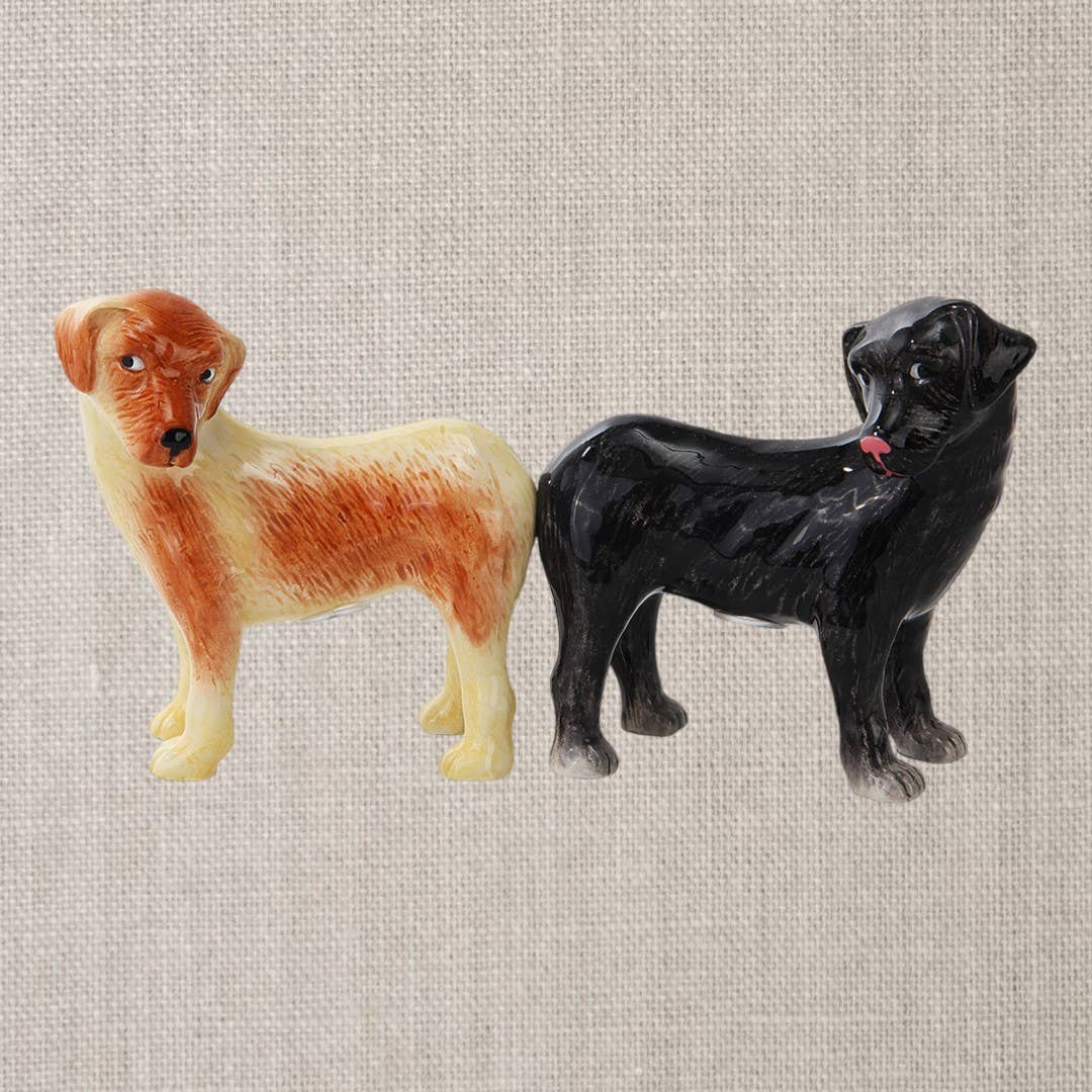 Sel et poivre Labradors