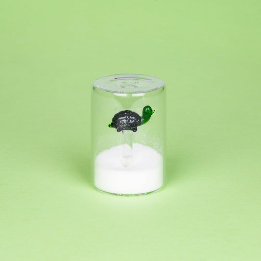 Atlantis Turtle Salt Shaker