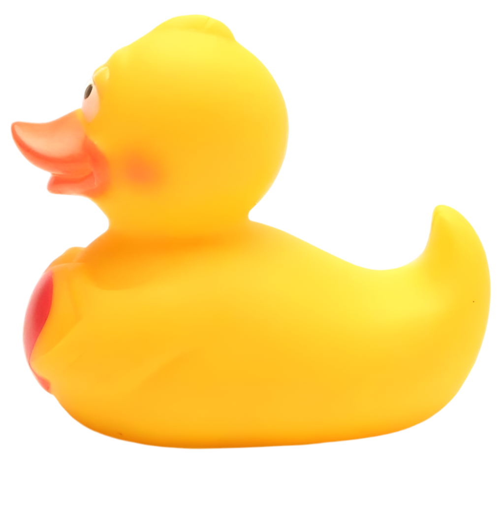 canard avec coeur factotum