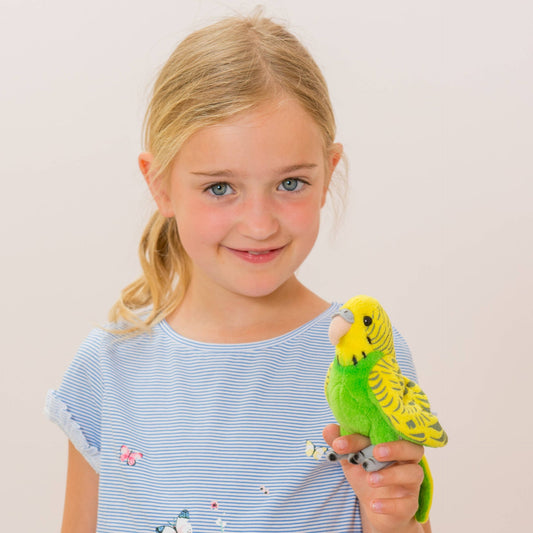 Peluche Perruche verte