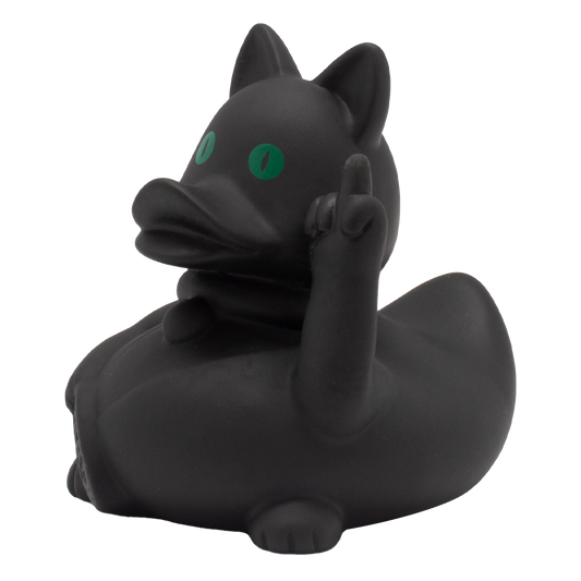 canard crazy cat noir lilalu