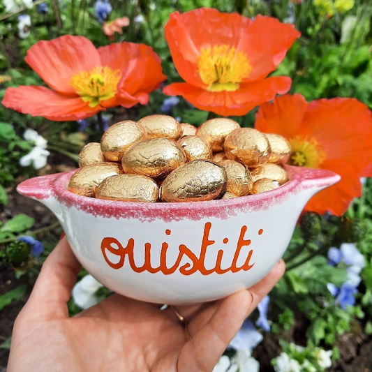 bol breton ouistiti pied de poule