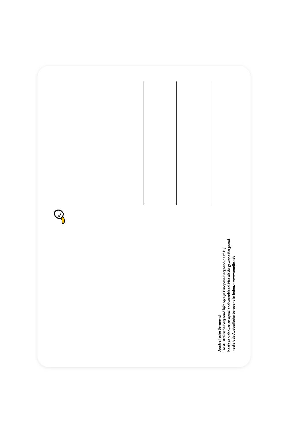 Postcard with Australian Shelteduck