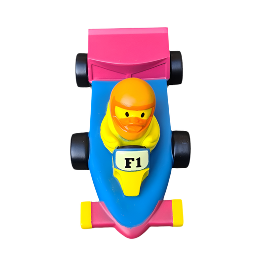 Canard Voiture de course F1