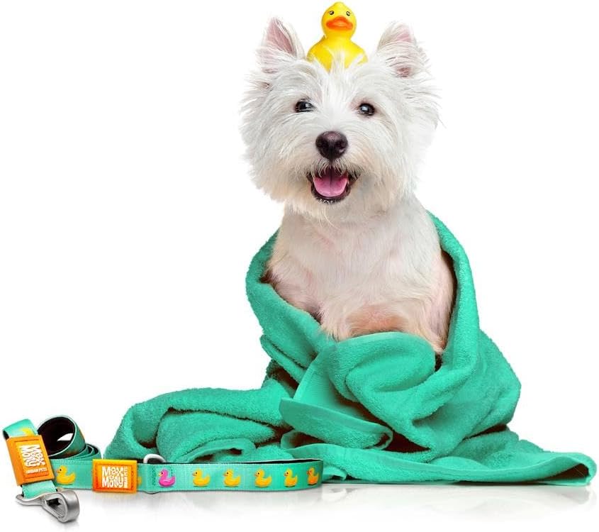 Keep it Short – Ducks