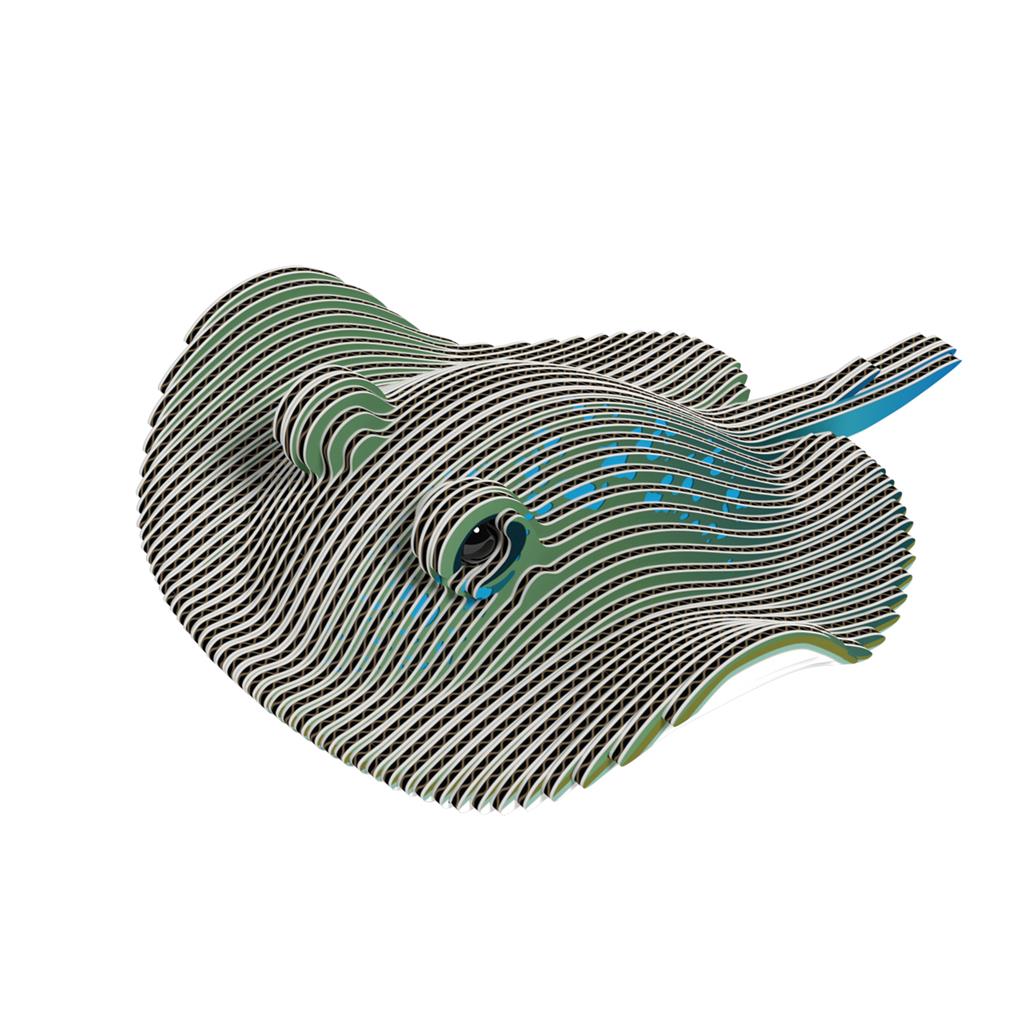 EUGY 3D - Raie
