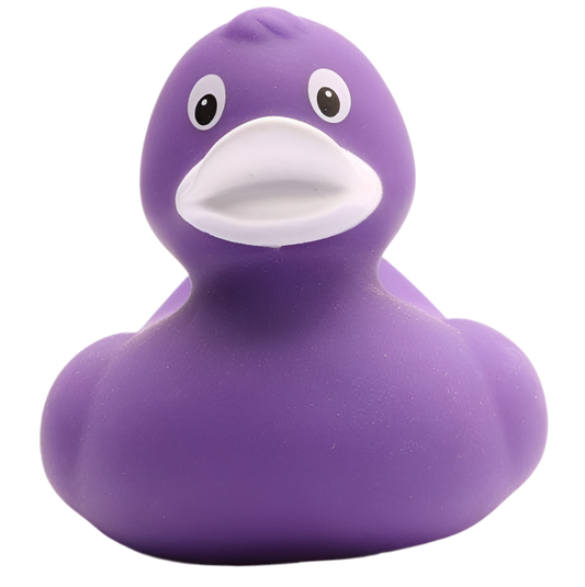 canard classique violet