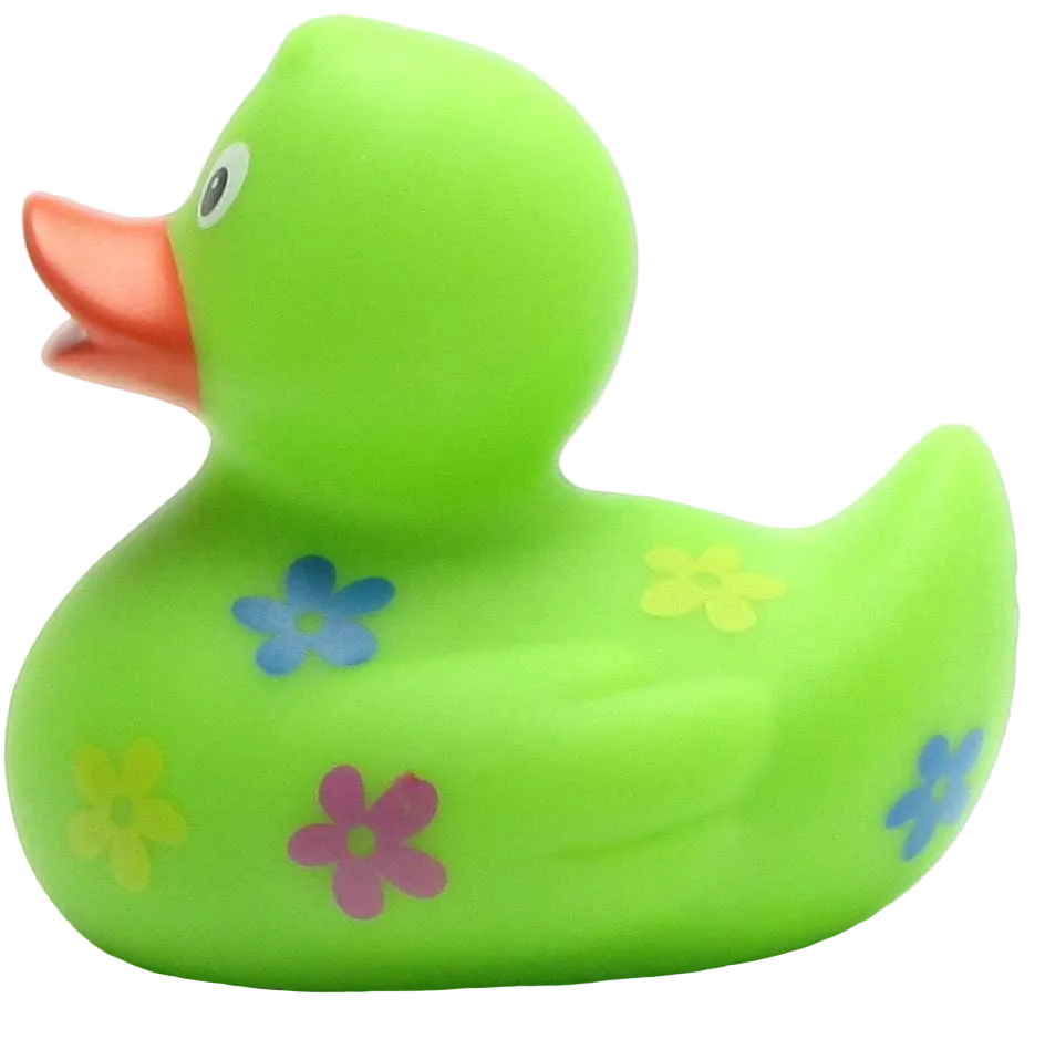 Floral Duck
