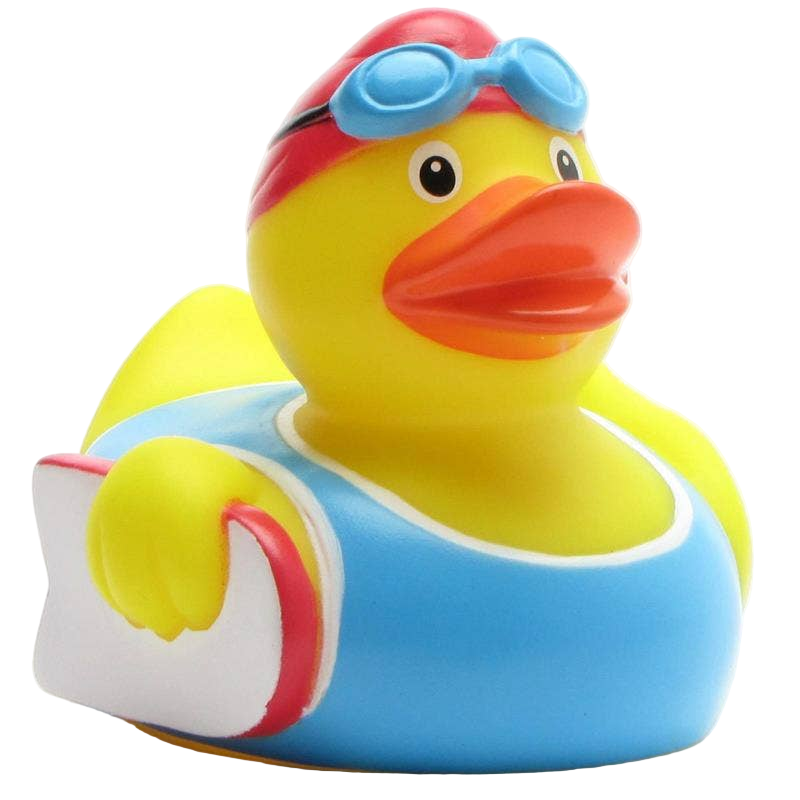 Swimming Duck