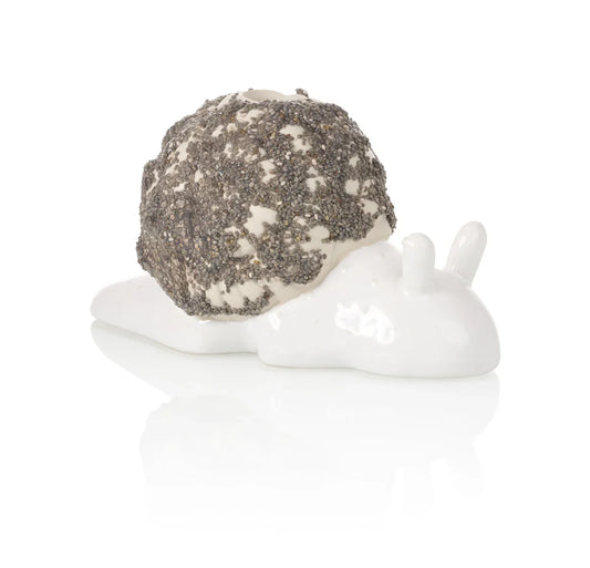 planteur de chia escargot bitten