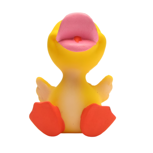 Canard Bébé