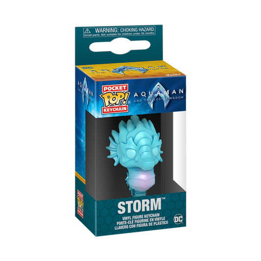 Funko Pop! Keychain Storm – DC Comics