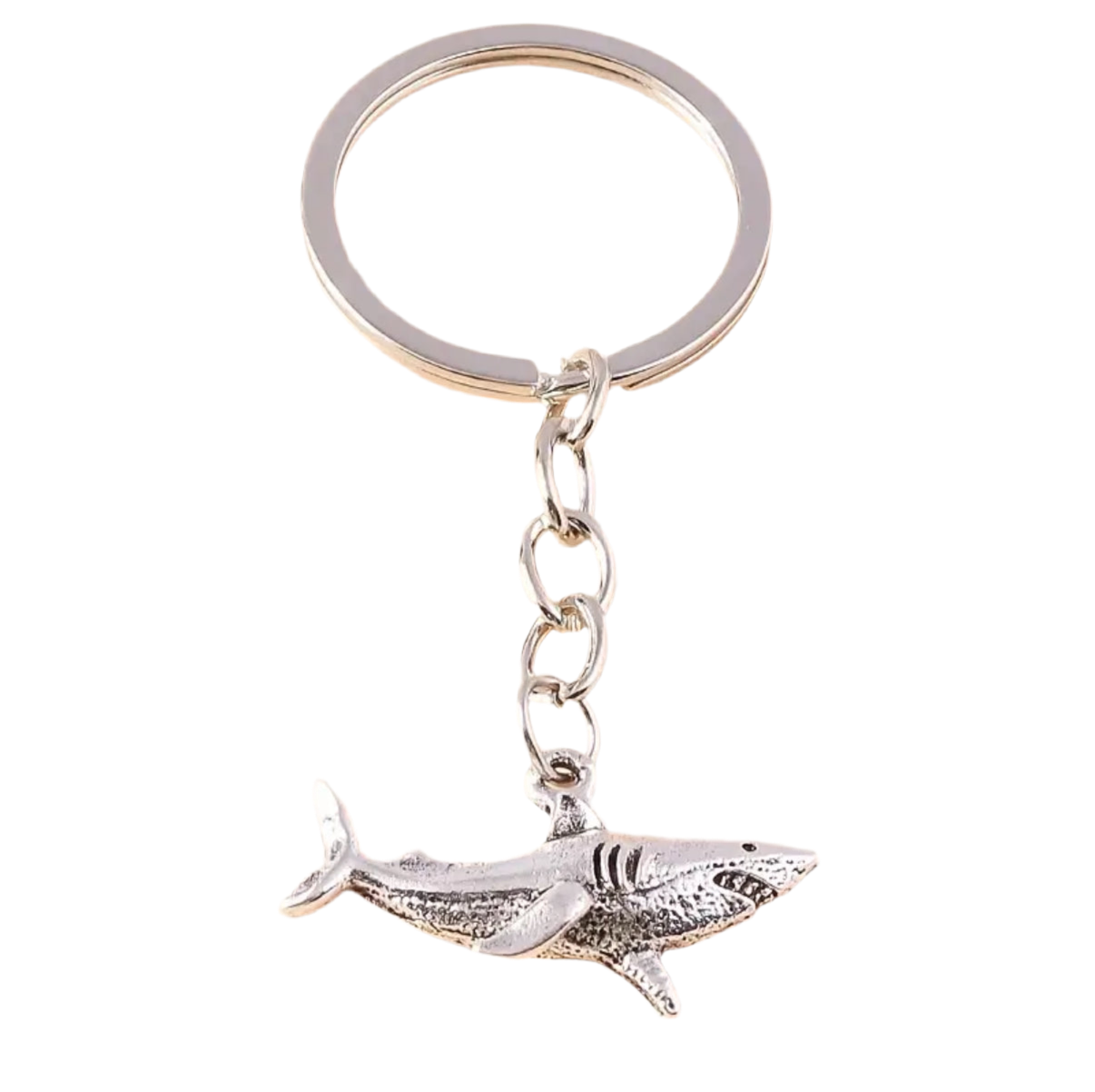 porte cles requin cd