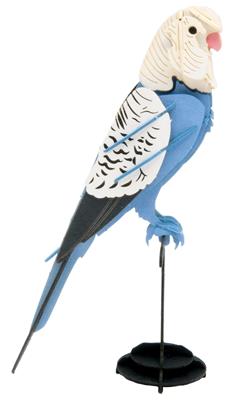 3d paper model perruche ondulee fridolin 7211733 4031172117339