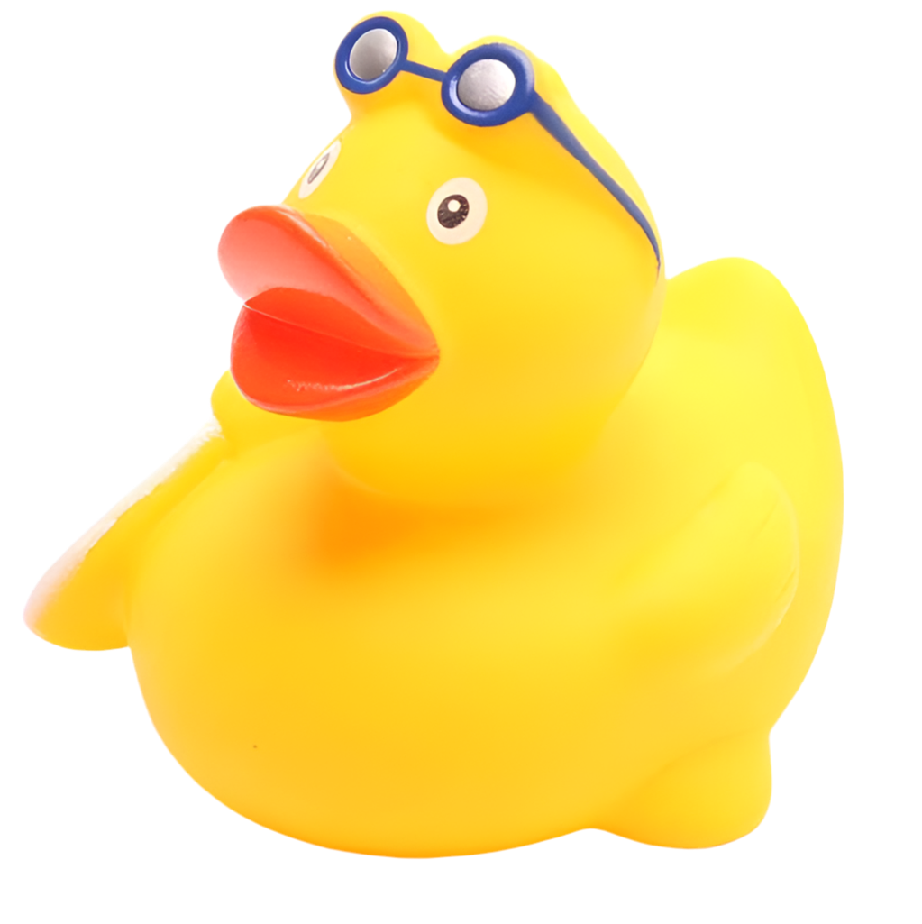 canard surfeur duckshop