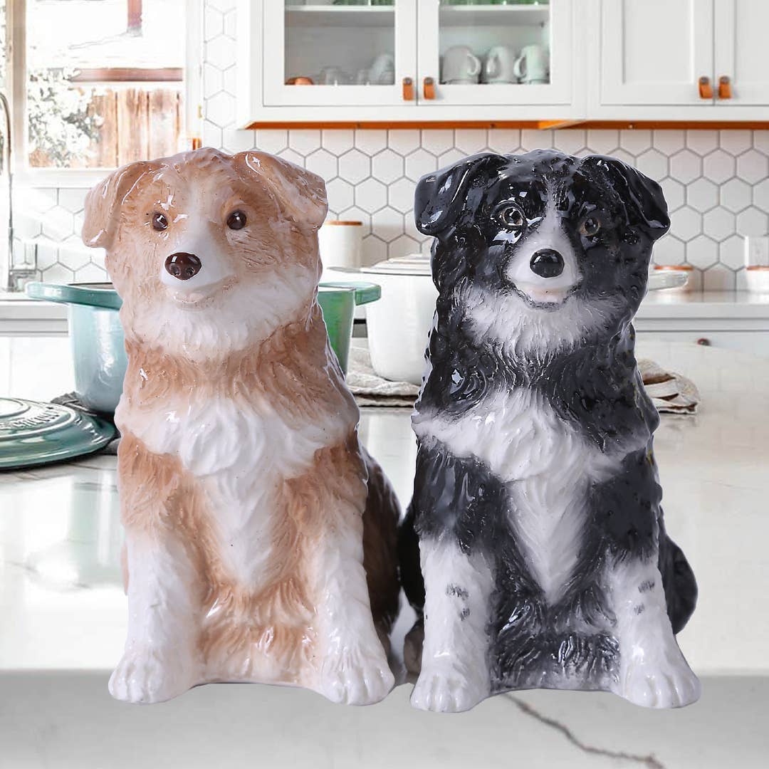 Sel et poivre Border Collies