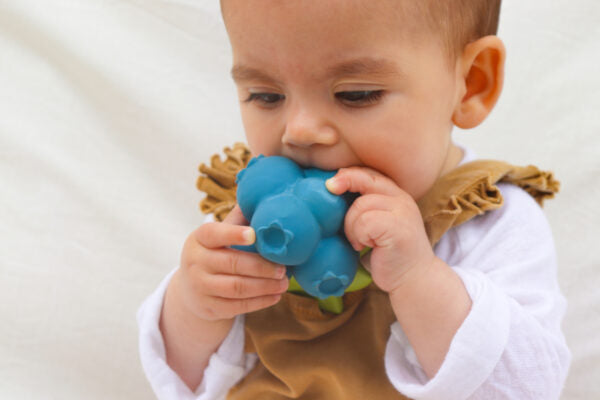 Produit Jerry La Myrtille Poster Déco