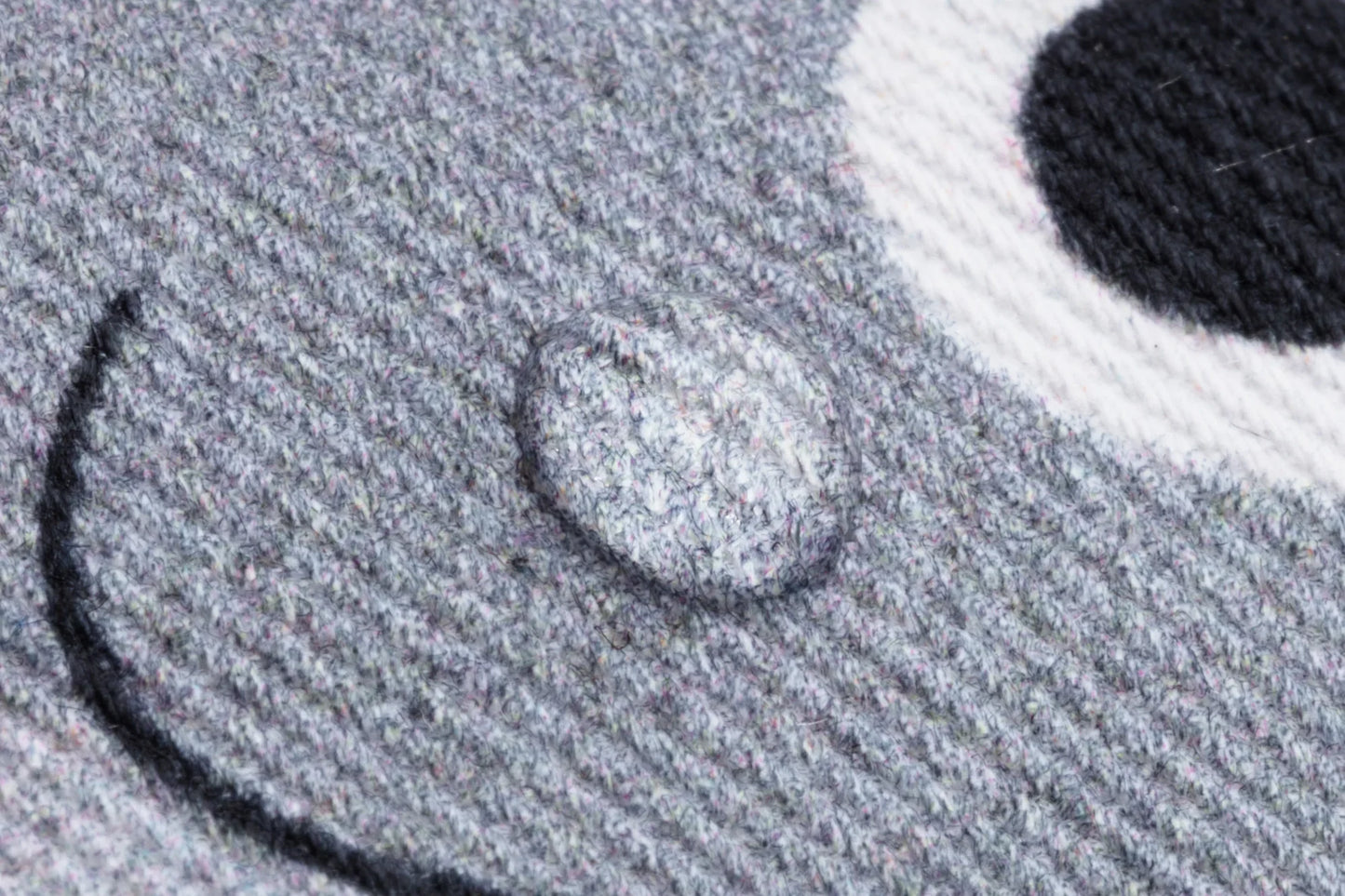 Lentävän kalan kolikkopussi