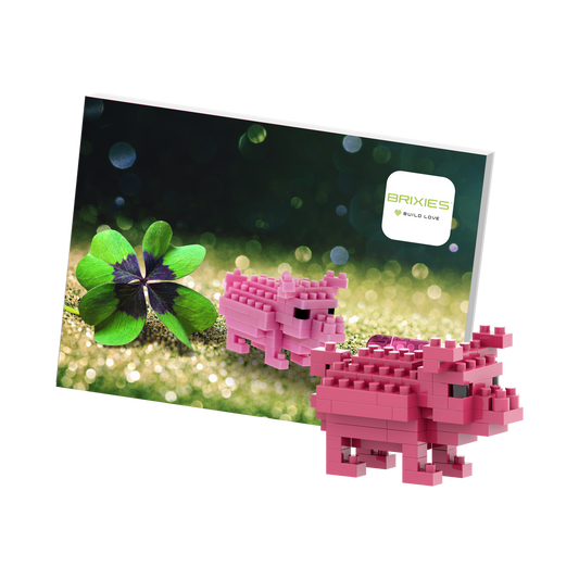 Carte postale BRIXIES cochon porte-bonheur