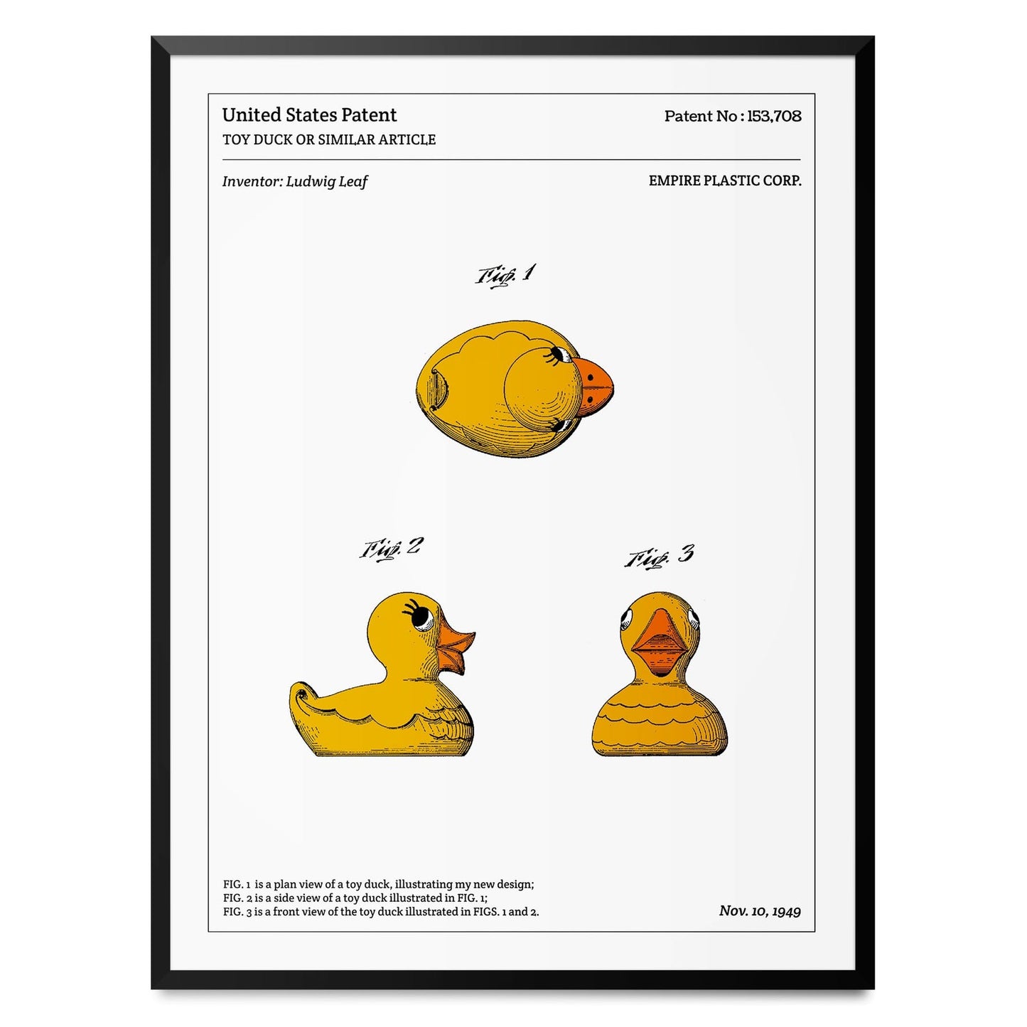 affiche technique canard en plastique