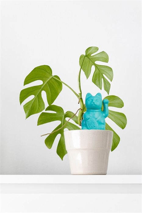 arroseur autonome chat chanceux bleu bitten