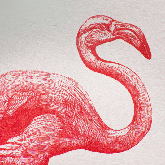 Ροζ Flamingo Artprint