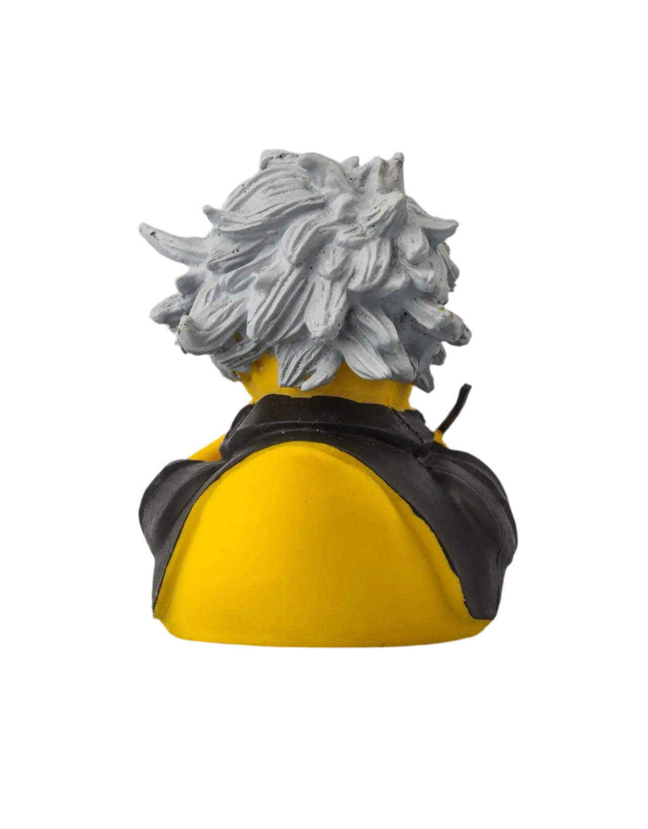 canard beethoven austroducks