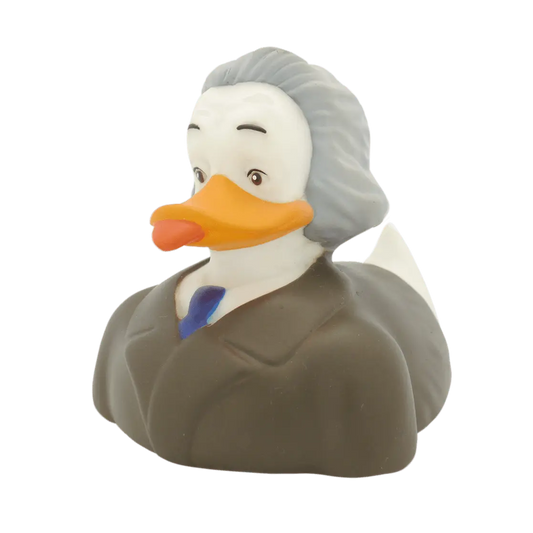 canard albert duckstein interduck