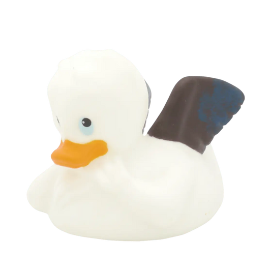 canard ange 2 interduck