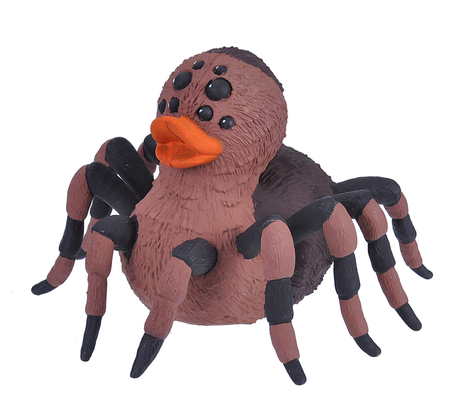 Tarantula Duck