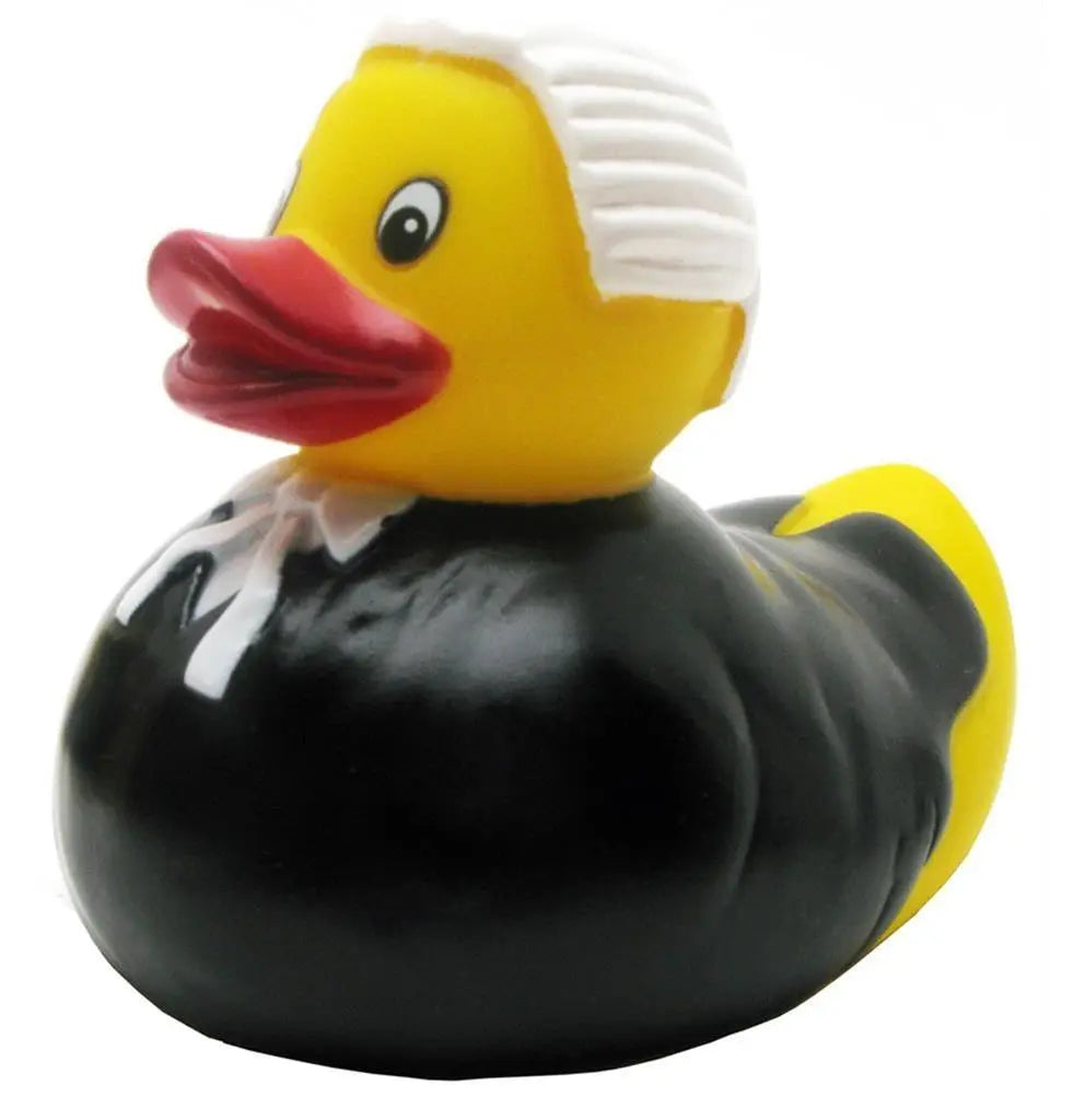 canard avocat 10313 5015653108251