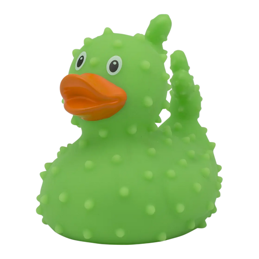 canard cactus lilalu