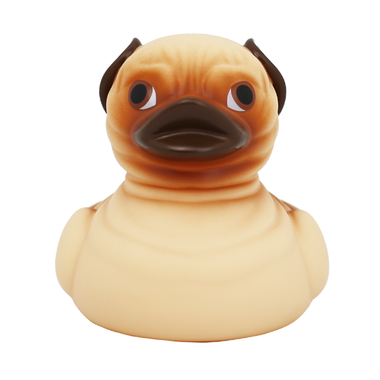 Kachní pes Mops