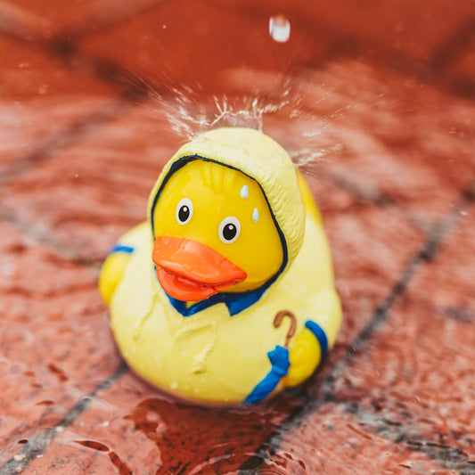 canard mauvais temps schnabels