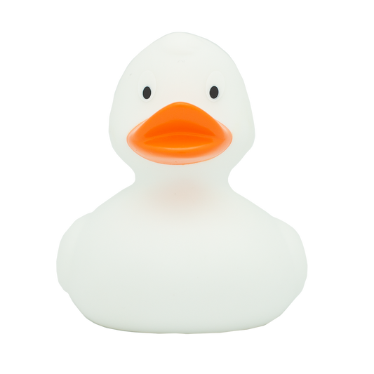 Chargement en cours...