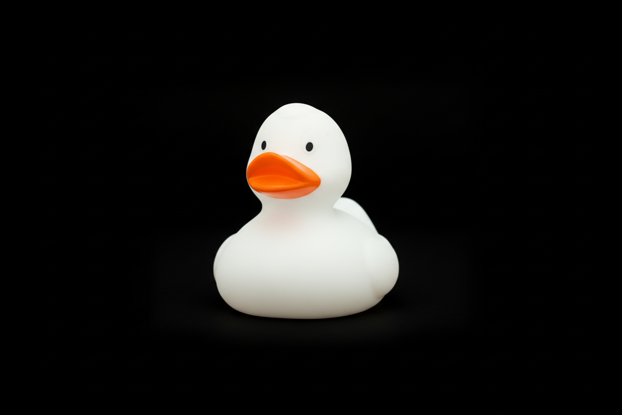 Klasická bílá kachna