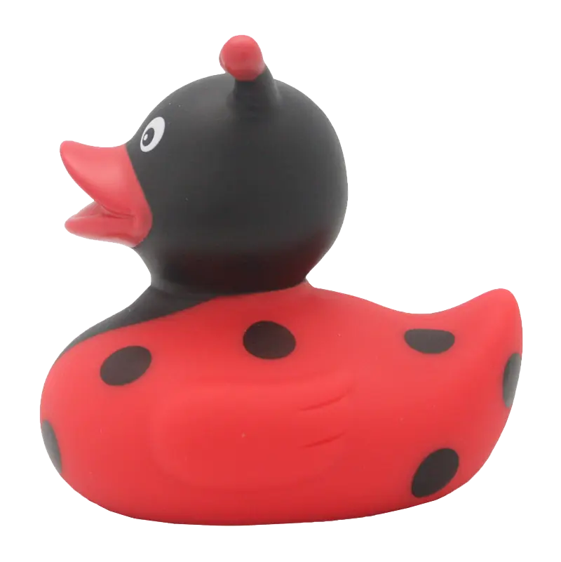 canard coccinelle lilalu