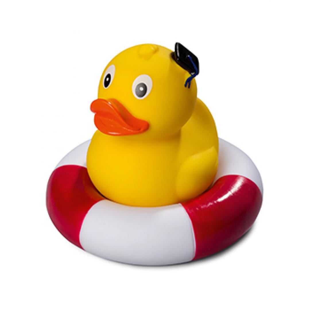 canard debout diplome schnabels